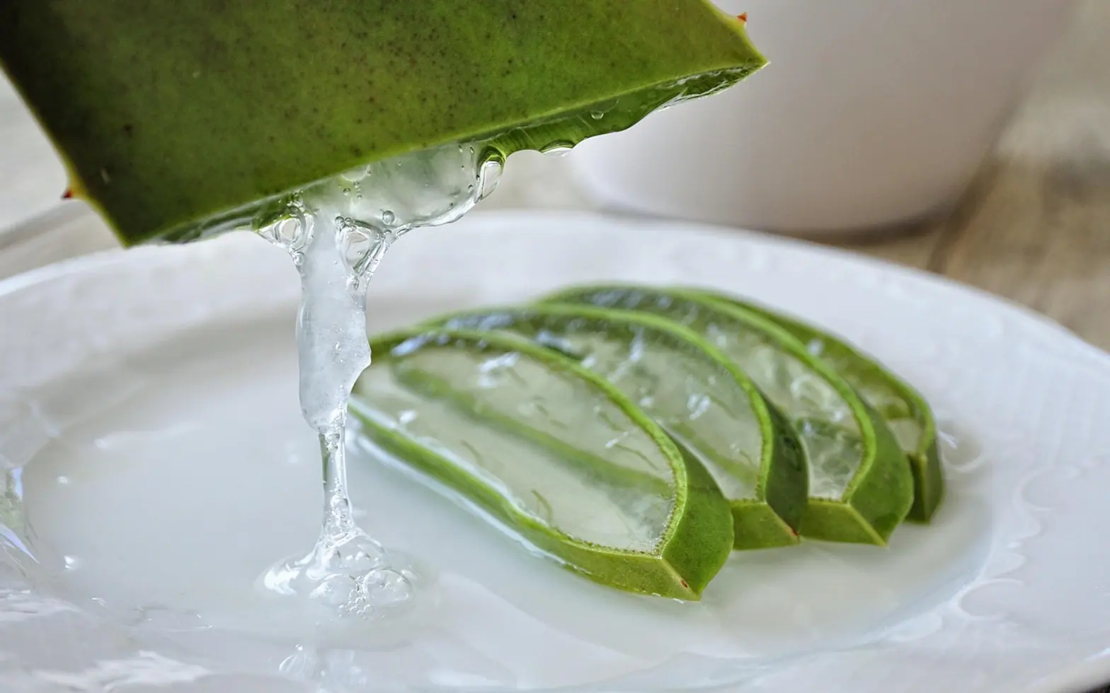 Aloe, aloe vera and aloe gel