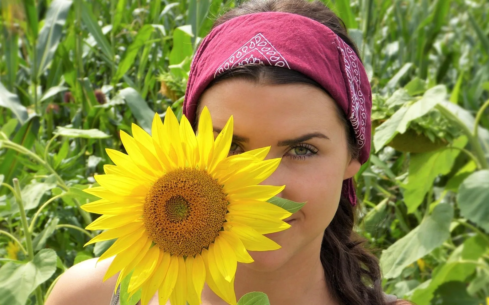 Sunflower, girl and face